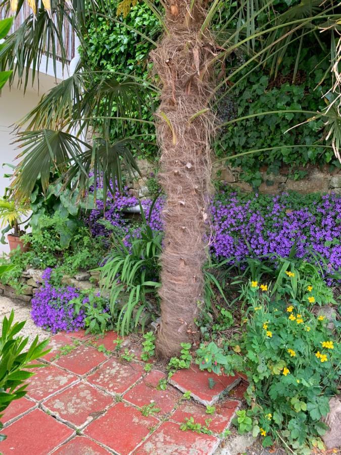La Casa De Sophie T3 Avec Jardinet, Parking Prive - Port De 瓦讷 外观 照片